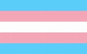 transgender flag