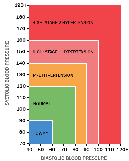 Blood Pressure Range Chart By Age