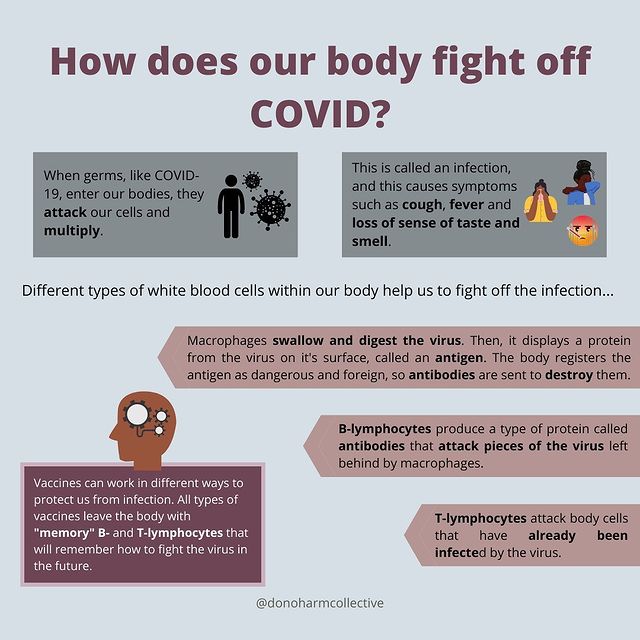 Myth Busting Page 3